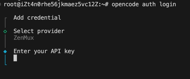 输入 API Key